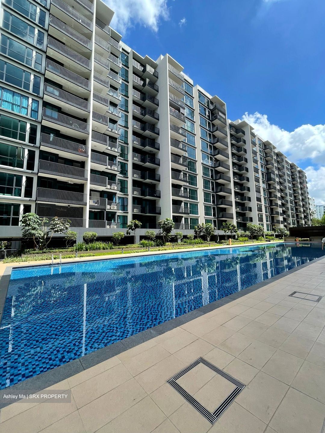 Treasure at Tampines (D18), Condominium #452306221